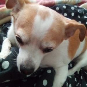 Meet your Posher, Claudia